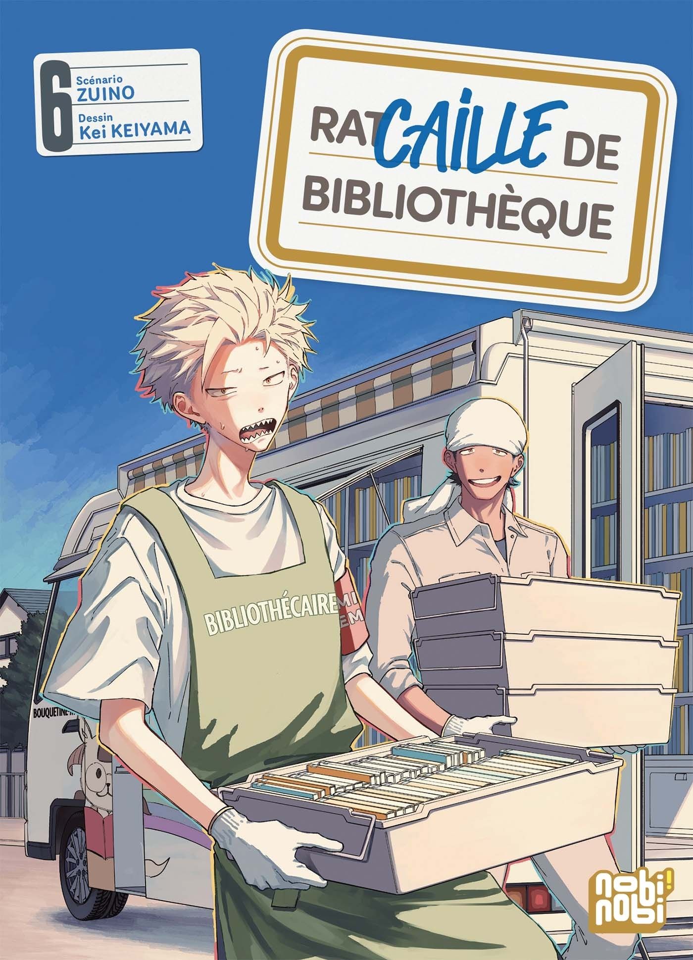 RACAILLE DE BIBLIOTHEQUE T06