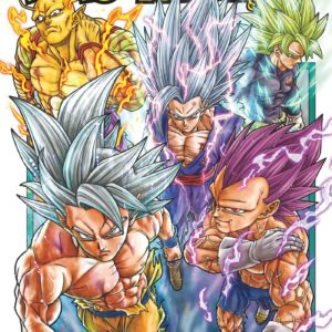 DRAGON BALL SUPER - TOME 24