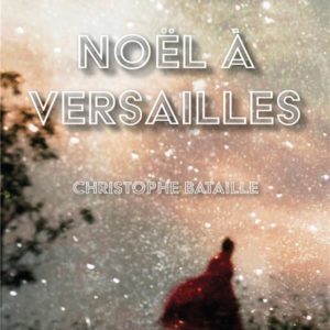 NOEL A VERSAILLES