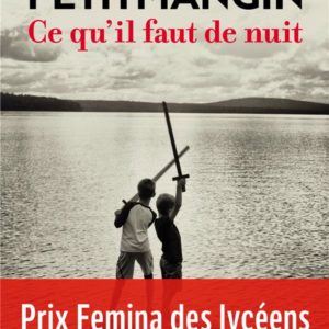 CE QU'IL FAUT DE NUIT