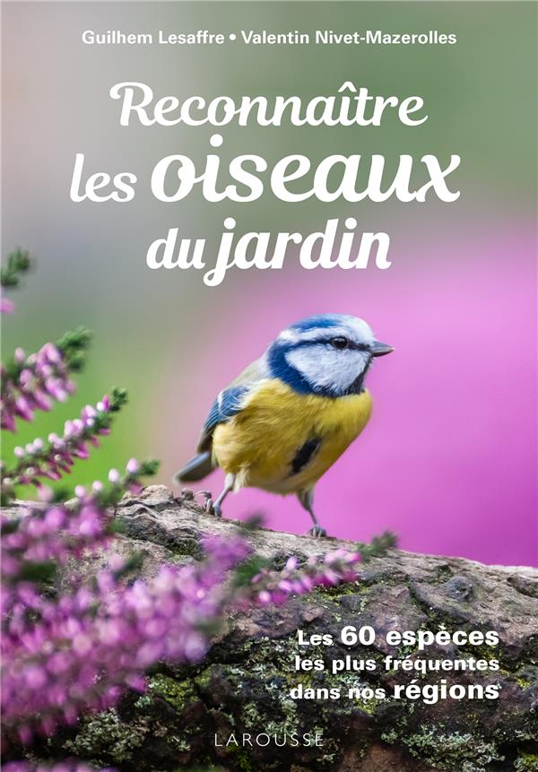 RECONNAITRE LES OISEAUX DU JARDIN - LES 60 ESPECES LES PLUS FREQUENTES DANS NOS REGIONS
