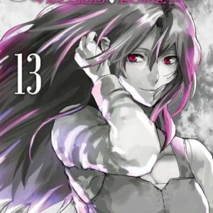 SILVER WOLF BLOOD BONE - TOME 13 - VOL13