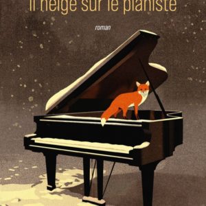 IL NEIGE SUR LE PIANISTE - ROMAN