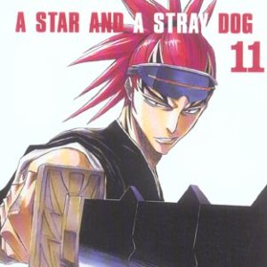 BLEACH - TOME 11 - A STAR AND A STRAY DOG