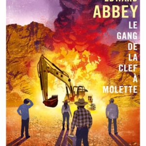 LE GANG DE LA CLEF A MOLETTE