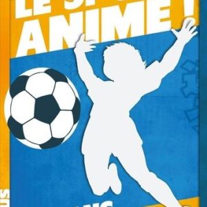 LE SPORT ANIME, 50 ANS DE SERIES SPORTIVES