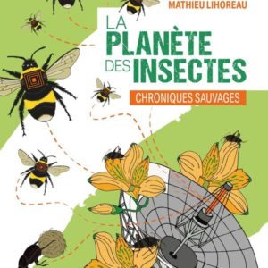 LA PLANETE DES INSECTES