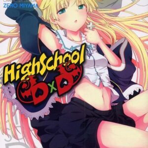 HIGH SCHOOL DXD T02
