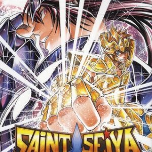 SAINT SEIYA - THE LOST CANVAS - LA LEGENDE D'HADES - TOME 14 - VOL14