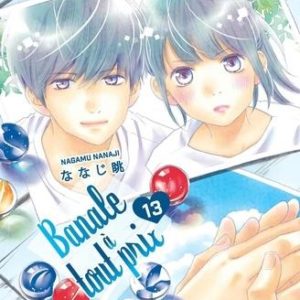 BANALE A TOUT PRIX - TOME 13