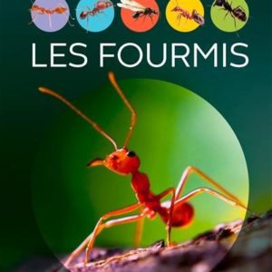 LES FOURMIS