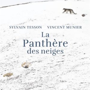 LA PANTHERE DES NEIGES - EDITION ILLUSTREE