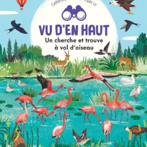 VU D'EN HAUT - UN CHERCHE ET TROUVE A VOL D'OISEAU