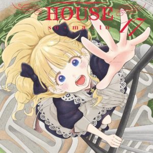 SHADOWS HOUSE - TOME 17