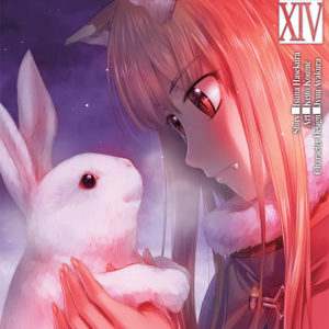 SPICE & WOLF T14