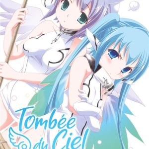 TOMBEE DU CIEL - TOME 13