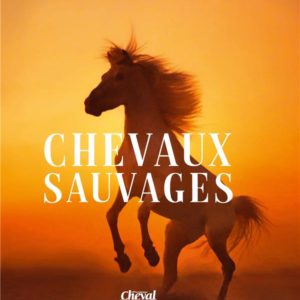 CHEVAUX SAUVAGES