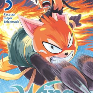 WIND FIGHTERS - TOME 03