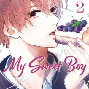 MY SWEET BOY - TOME 2 (VF)