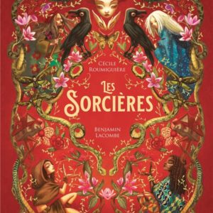 LES SORCIERES - L'ENCYCLOPEDIE DU MERVEILLEUX