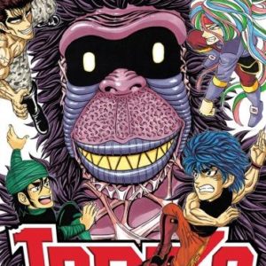 TORIKO T34