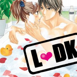 LDK T13