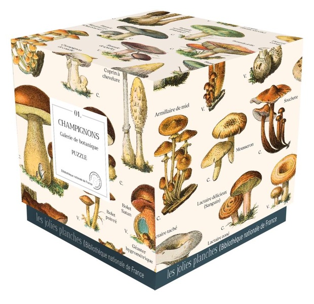 PUZZLE CHAMPIGNONS 1000 PIECES