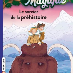 LA CABANE MAGIQUE, TOME 06 - LE SORCIER DE LA PREHISTOIRE