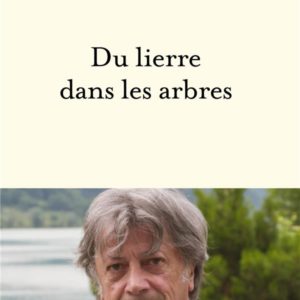 DU LIERRE DANS LES ARBRES