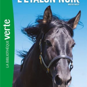 L'ETALON NOIR - T06 - L'ETALON NOIR 06 NED - LA REVOLTE DE L'ETALON NOIR