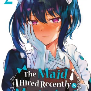 THE MAID I HIRED RECENTLY IS MYSTERIOUS - TOME 02