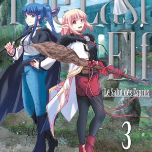 THE LAST ELF, LE SALUT DES ESPRITS T03