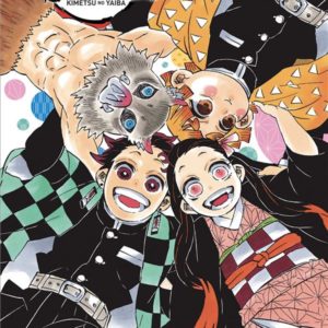DEMON SLAYER ROMAN N 02: PAPILLON A UNE SEULE AILE