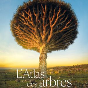 L'ATLAS DES ARBRES - UN INCROYABLE TOUR DU MONDE VEGETAL