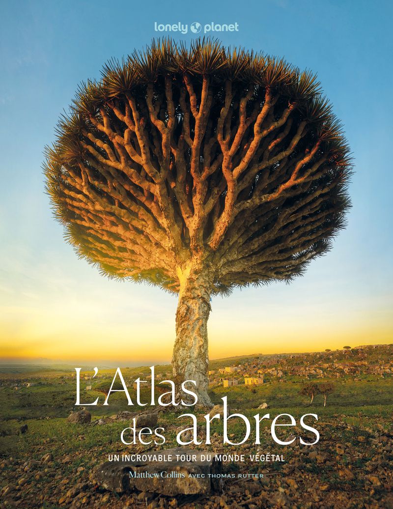 L'ATLAS DES ARBRES - UN INCROYABLE TOUR DU MONDE VEGETAL