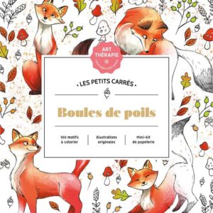 LES PETITS CARRES D'ART-THERAPIE BOULES DE POILS