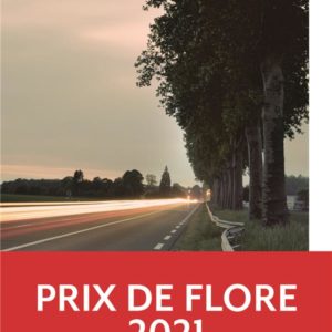 LE VOYANT D'ETAMPES