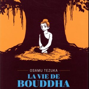 LA VIE DE BOUDDHA - EDITION PRESTIGE T02