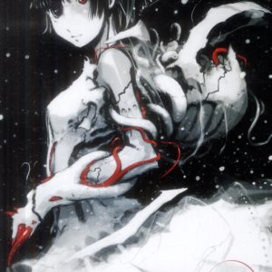 KNIGHTS OF SIDONIA - TOME 07