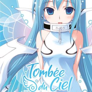 TOMBEE DU CIEL - TOME 17