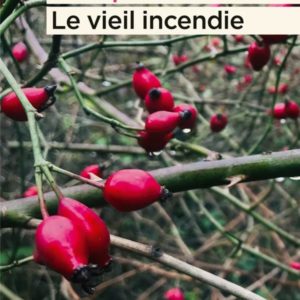 LE VIEIL INCENDIE